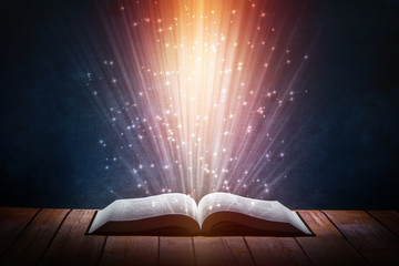 凯斯210转向压力阀在哪