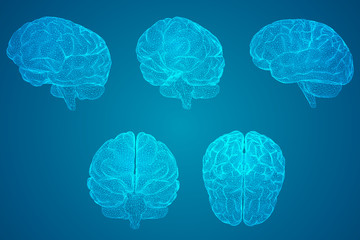 合力叉车与龙工叉车各自有什么优势和劣势