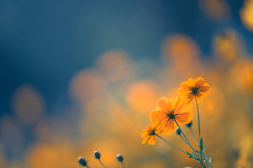 学校消防安全隐患排查整改报告