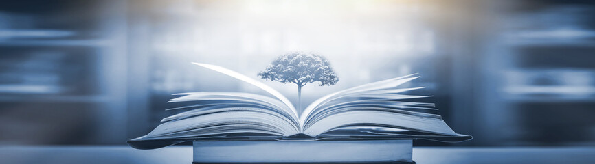 丰碑原来指什么现在指什么