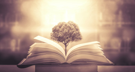 为什么共情能力太强不是一件好事？