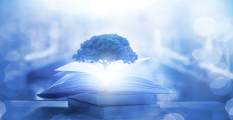 全屋装修水电改造要多少钱呢？