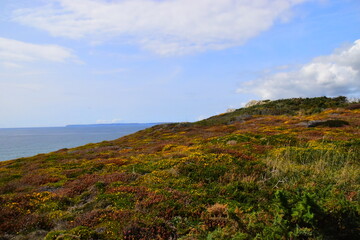 在人民公社时期 人们的衣食住行等情况和今天有什么不同 急急急在线求
