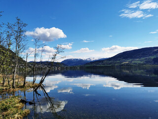 什么颜色的乳胶漆显亮墙漆什么颜色对眼睛