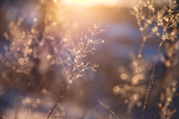 邮政储蓄银行代理的富德生命人寿保险可靠吗