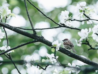 广西艺术学院地址广西南宁市教育路7号