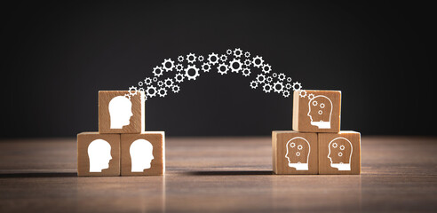 马边到新津有多少公里