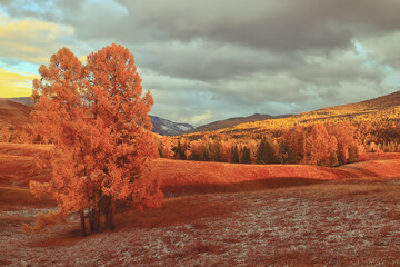 羊毛衫洗涤方法