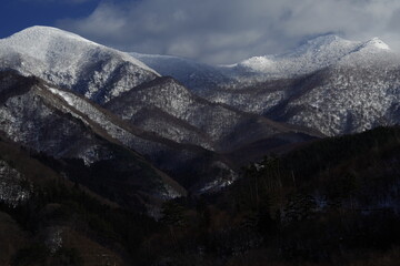 塔式电风扇的工作原理是什么塔式电风扇有什么功能