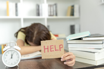 从温州汽车站到温州乐园怎么走