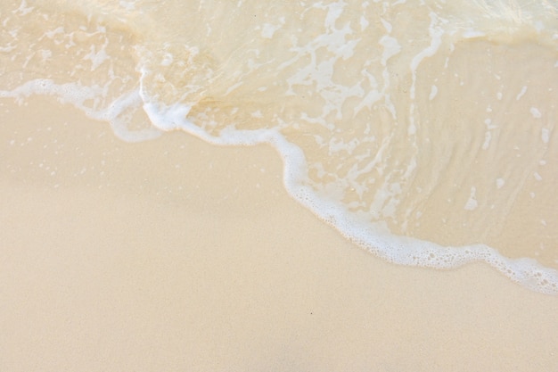 上海市桃浦镇是属于外环还是中环？