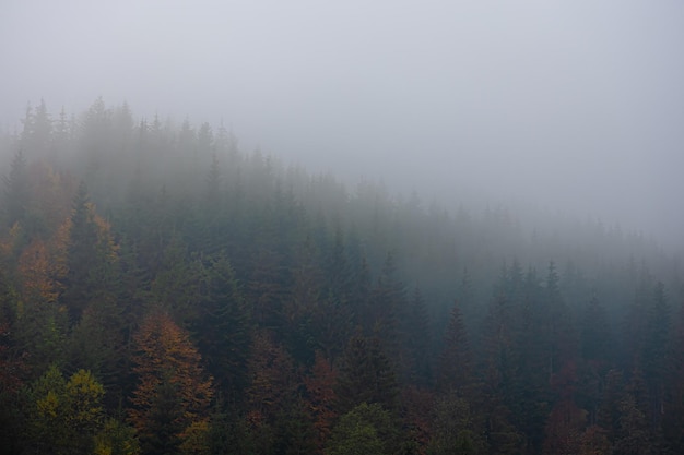 东厂和西厂的区别 明朝东厂介绍