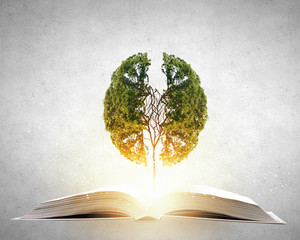 本田锋范方向内拉杆怎么拆