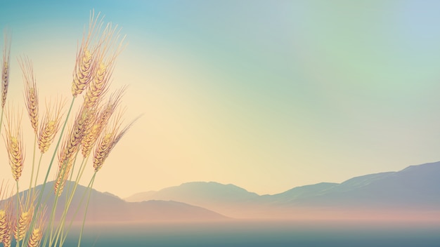 男性朋友应该如何选择内裤？