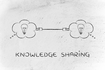 农业蔬菜合作社怎么盈利？