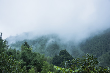 新兵连训练体能不行不合格咋办
